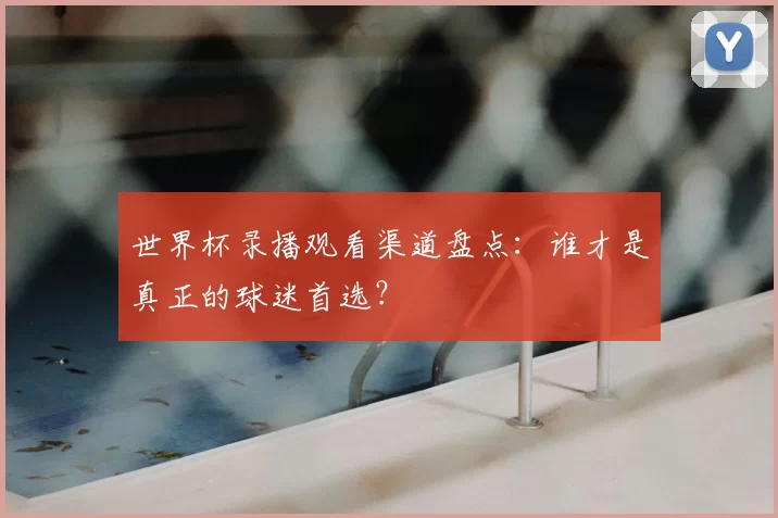 世界杯录播观看渠道盘点:谁才是真正的球迷首选?