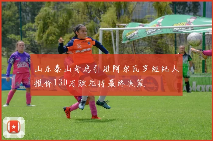 山东泰山考虑引进阿尔瓦罗经纪人报价130万欧元待最终决策