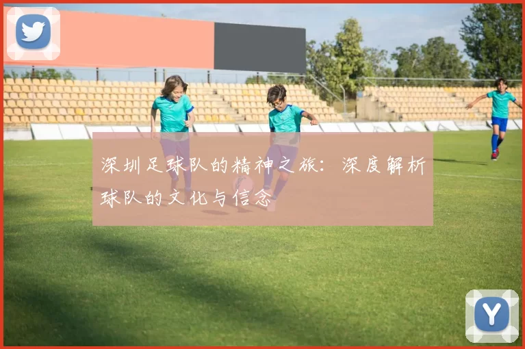 深圳足球队的精神之旅:深度解析球队的文化与信念