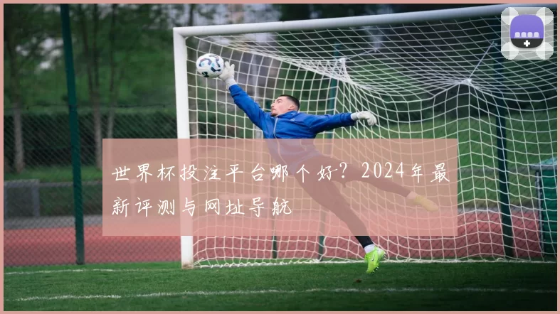世界杯投注平台哪个好？2024年最新评测与网址导航