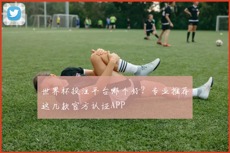 世界杯投注平台哪个好？专业推荐这几款官方认证APP