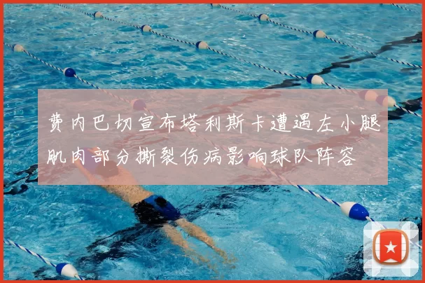 费内巴切宣布塔利斯卡遭遇左小腿肌肉部分撕裂伤病影响球队阵容