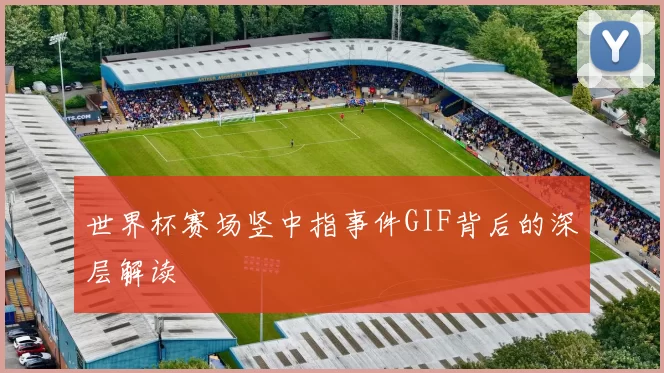 世界杯赛场竖中指事件GIF背后的深层解读