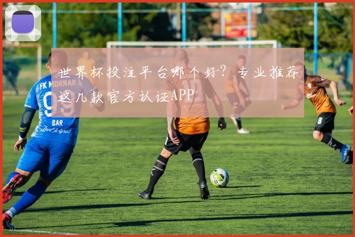 世界杯投注平台哪个好?专业推荐这几款官方认证APP