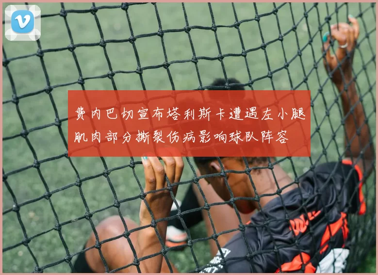 费内巴切宣布塔利斯卡遭遇左小腿肌肉部分撕裂伤病影响球队阵容