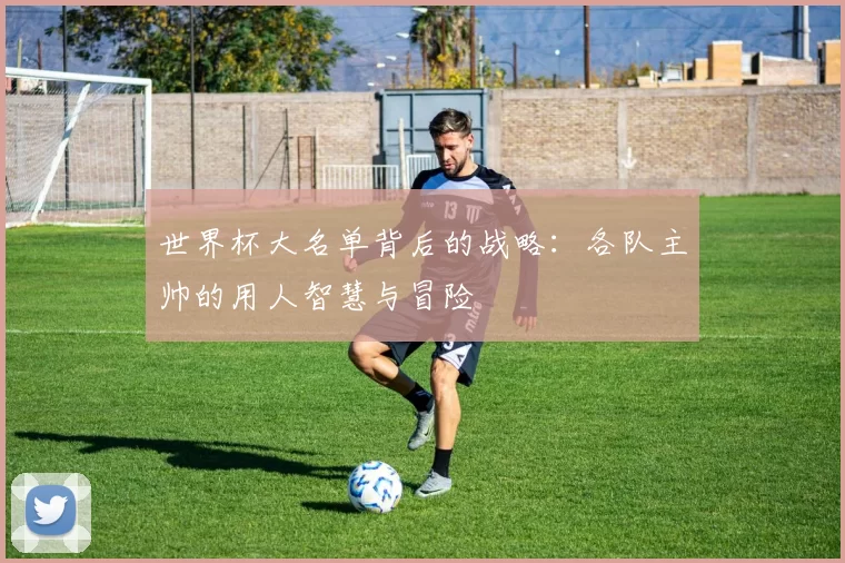 世界杯大名单背后的战略：各队主帅的用人智慧与冒险