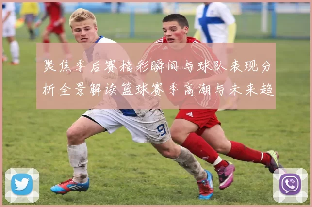 聚焦季后赛精彩瞬间与球队表现分析全景解读篮球赛季高潮与未来趋势
