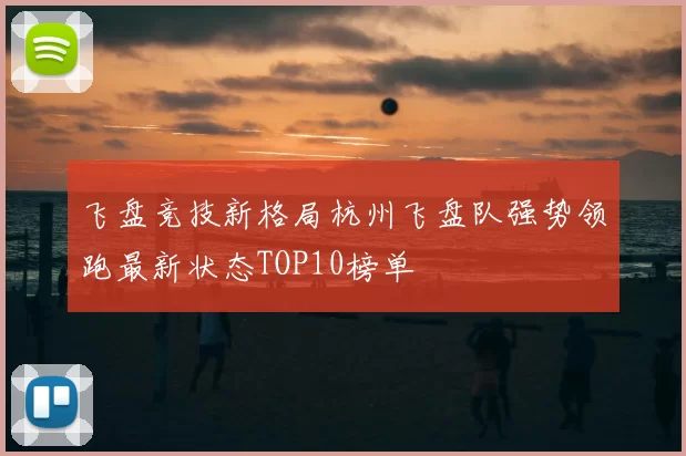 飞盘竞技新格局杭州飞盘队强势领跑最新状态TOP10榜单