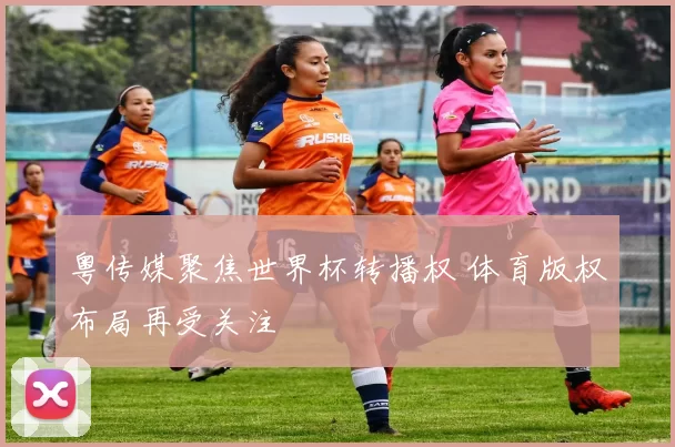 粤传媒聚焦世界杯转播权 体育版权布局再受关注
