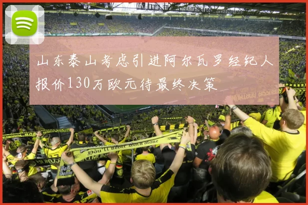 山东泰山考虑引进阿尔瓦罗经纪人报价130万欧元待最终决策