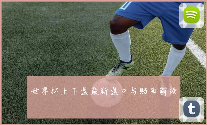世界杯上下盘最新盘口与赔率解读