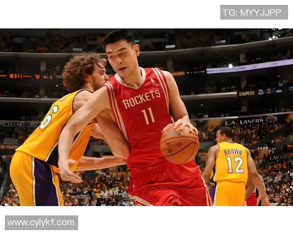 姚明高分榜揭示中国篮球传奇的辉煌成就与历史地位