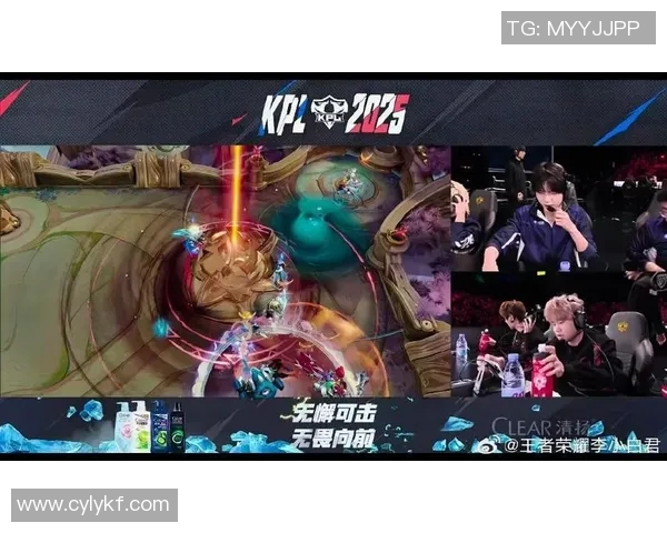 王者荣耀巨献：深入解析JDG战队的实力与战术魅力