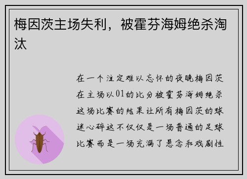 梅因茨主场失利，被霍芬海姆绝杀淘汰