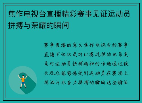 焦作电视台直播精彩赛事见证运动员拼搏与荣耀的瞬间